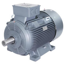 Beide 1MT0013 Serie Motor asíncrono trifásico